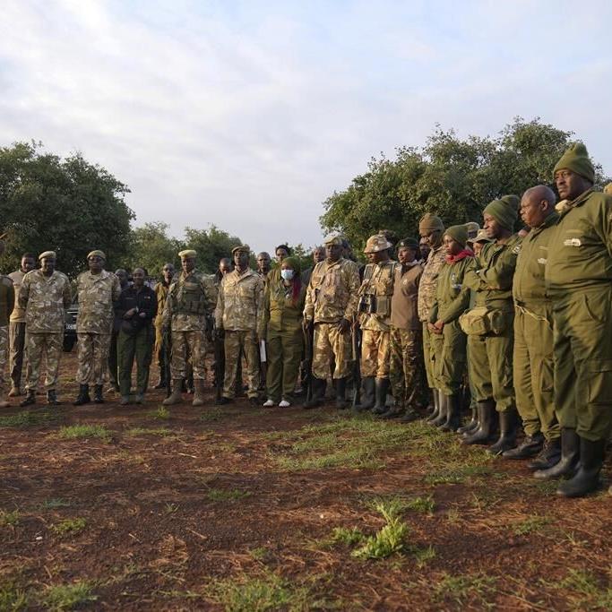 Kenya embarks on its biggest rhino relocation project. A previous attempt was a disaster